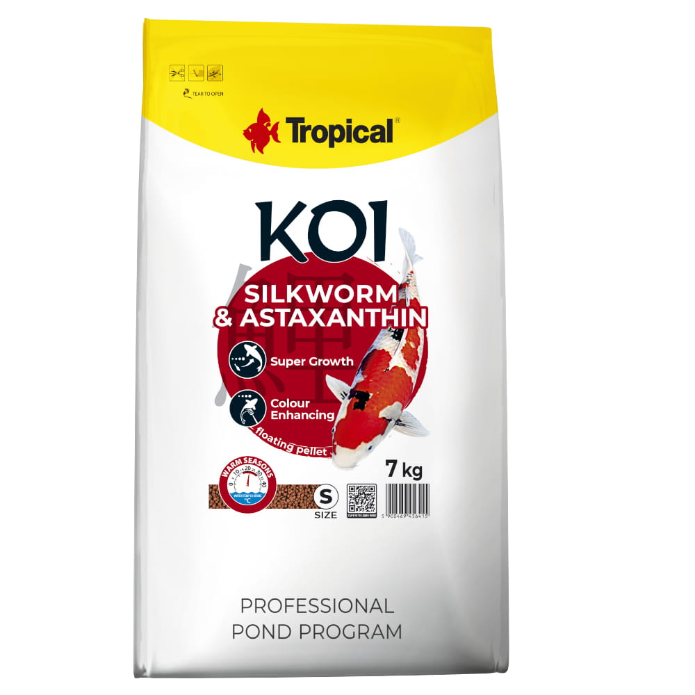 KOI silkworm S 7.jpg